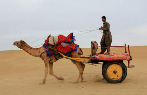 Jaisalmer-City-tour