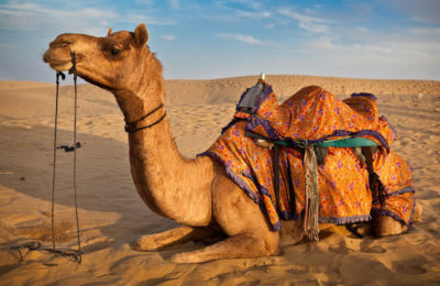 rajasthan luxury holiday packages